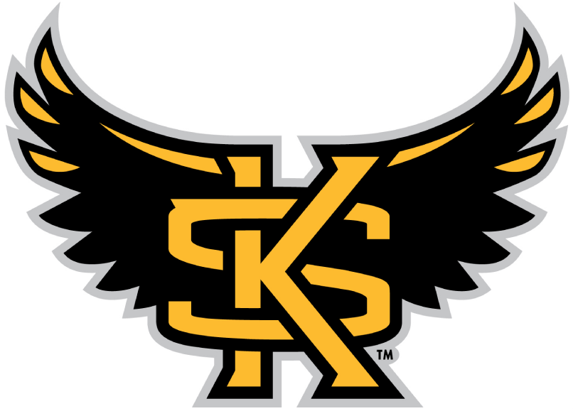 Kennesaw State Owls 2012-Pres Alternate Logo diy fabric transfer